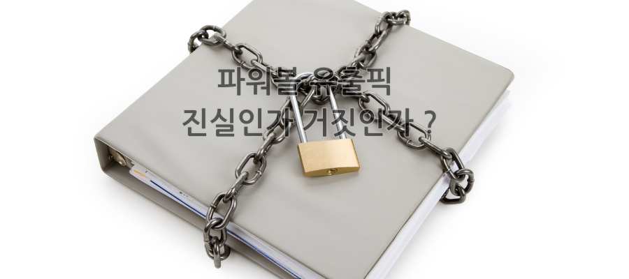 파워볼 유출픽 진실인가 거짓인가 ?